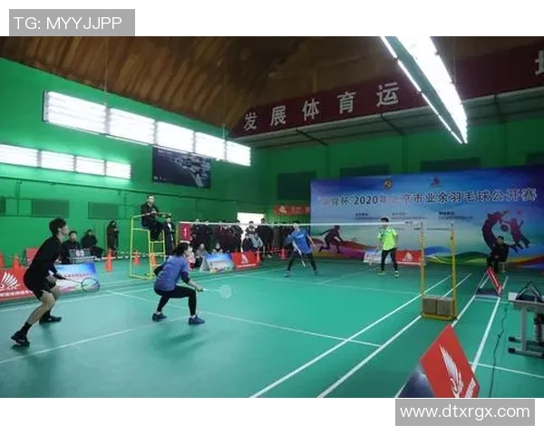 深入探讨北京羽毛球队的配合表现与战术分析对比赛成绩的影响